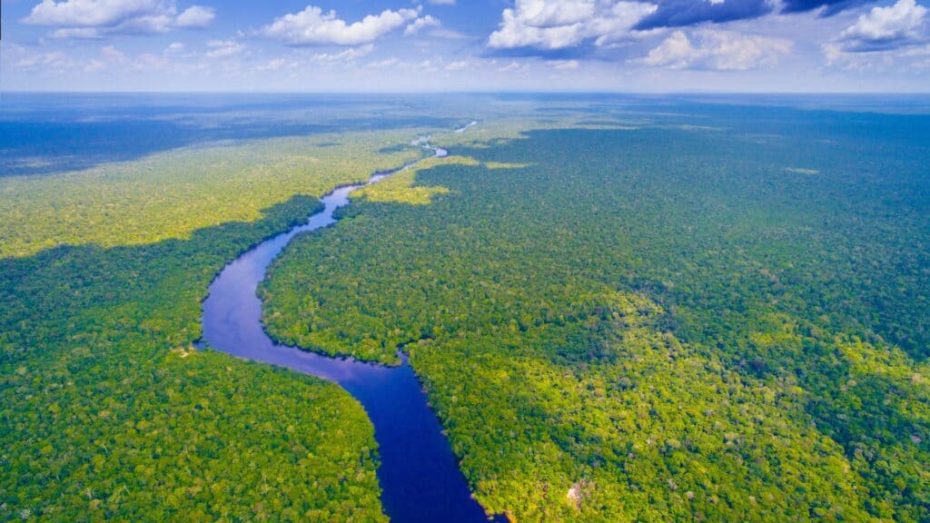 <p>Embark on a captivating cruise down the Amazon River, where the world’s largest rainforest unveils its wonders—from vibrant parrots soaring overhead to the elusive jaguars prowling through the lush undergrowth, offering an unforgettable glimpse into one of Earth’s most diverse ecosystems.</p>