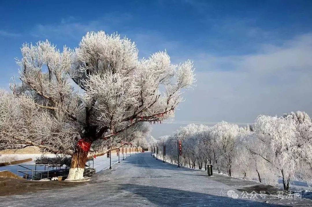 原文：《山花寻海树，不如就春风》