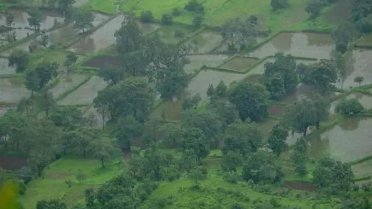 Monsoon Set To Arrive Early And Simultaneously Over Kerala, Northeast