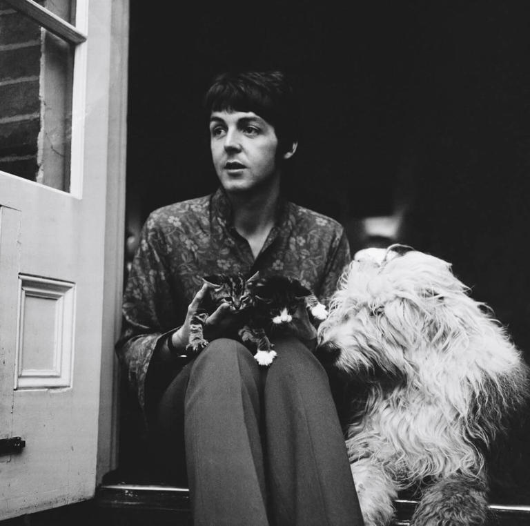 Paul McCartney | Les Lee/Daily Express/Hulton Archive/Getty Images