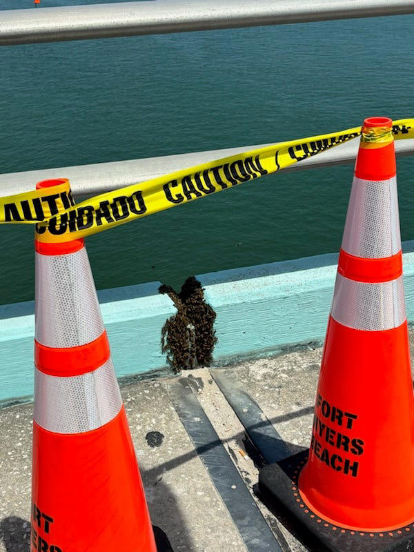 Caloosahatchee Bridge in Fort Myers closing on May 31 (Friday) for 10 ...