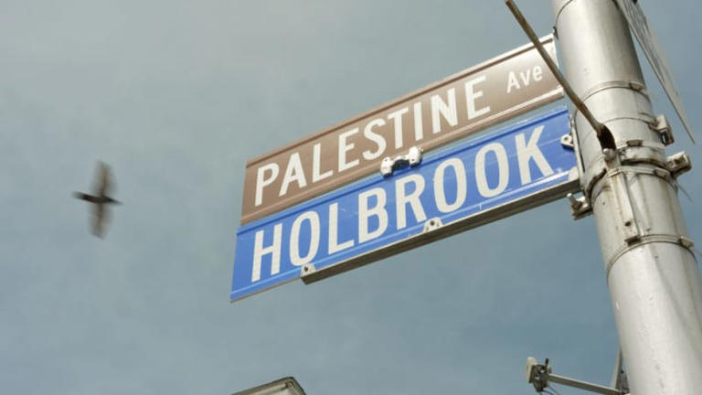 Palestine Avenue & Muslim-run councils: How America's Muslim city could be an open-borders warning bell for Britain