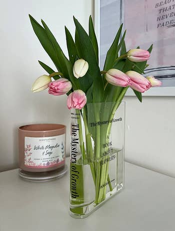 the transparent vase filled with tulips