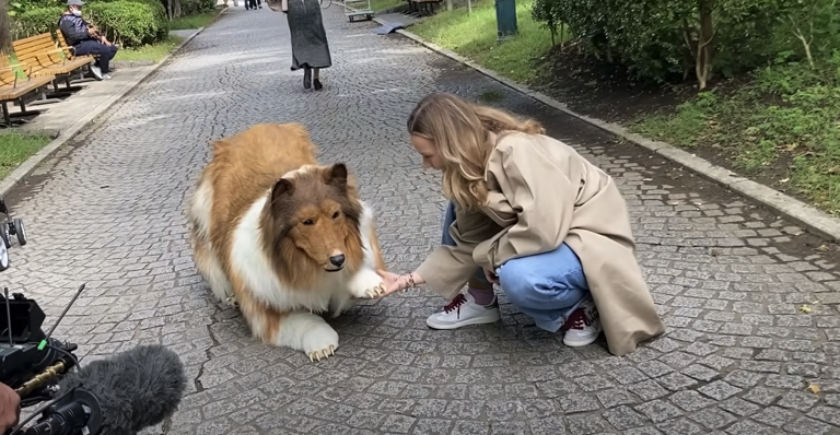 Man Who Spent a Year Living as a Dog Now Wants to be a Different Animal