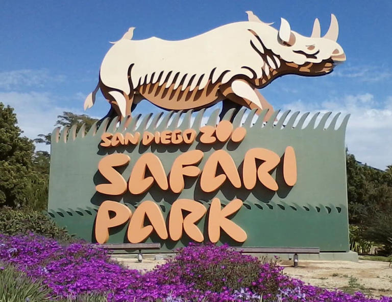 Planning to visit the San Diego Safari Park? Read these insider-tips by a San Diego local and long-time member.