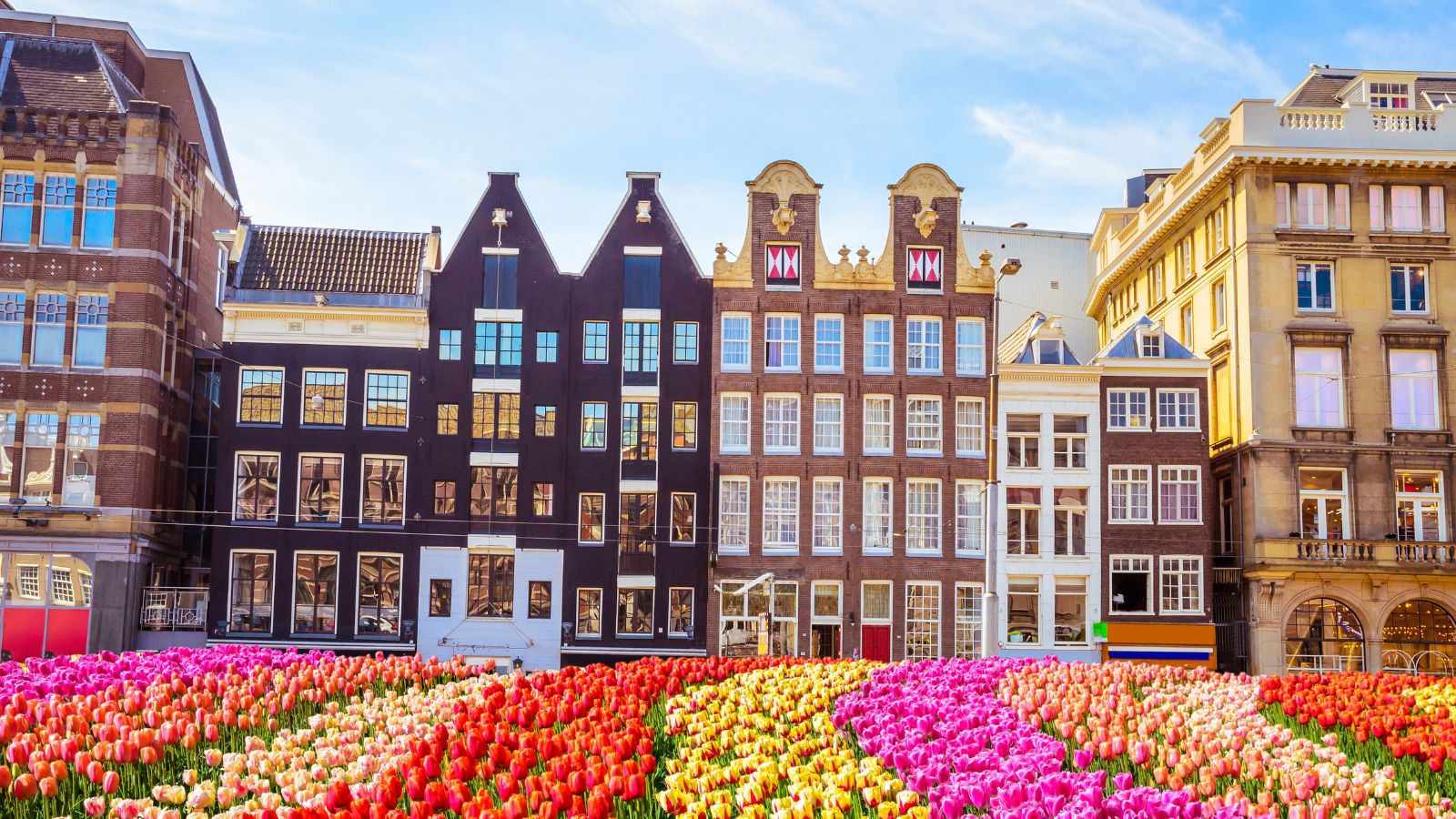 <p>Amsterdam is a vibrant city known for its picturesque canals, historic buildings, and lively cultural scene. Spend your days cycling along the scenic canal routes, <a href="https://www.brighterthingsplanning.com/6-days-in-amsterdam/">visiting world-class museums</a> like the Van Gogh Museum and Anne Frank House, and exploring the charming neighborhoods of Jordaan and De Pijp.</p><p>In addition to its rich history and culture, Amsterdam offers a fantastic food scene, with numerous trendy cafes, markets, and restaurants. Take a canal cruise to see the city from a unique perspective or relax in the expansive Vondelpark. Amsterdam’s blend of historic charm and modern amenities makes it a perfect summer destination.</p>