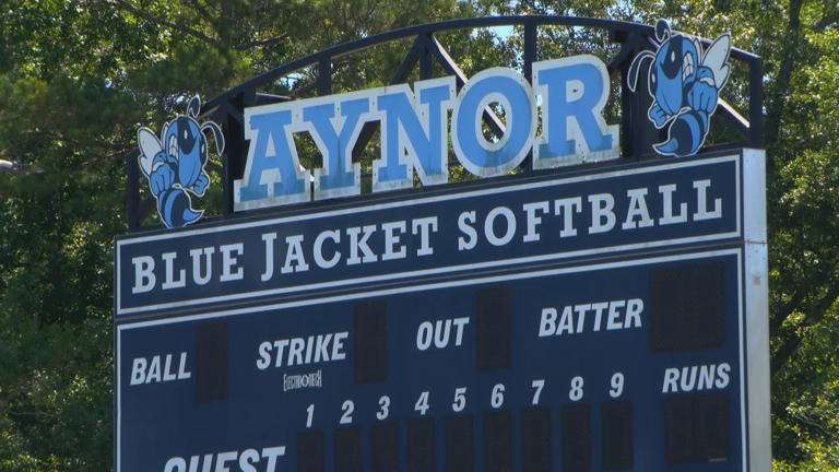 ‘My team makes me better’: Aynor High softball pitcher named 3A Player ...