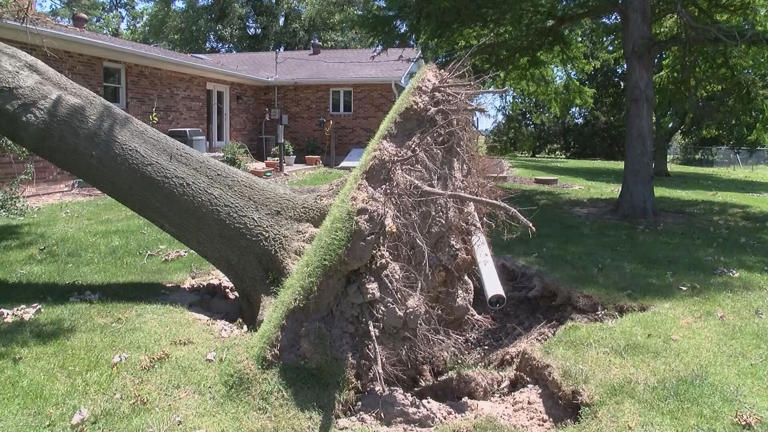 Tornado Cleanup Continues In Morehouse