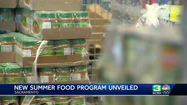 SUN Bucks, a kids summer food program, is renewed for 2025. What to know