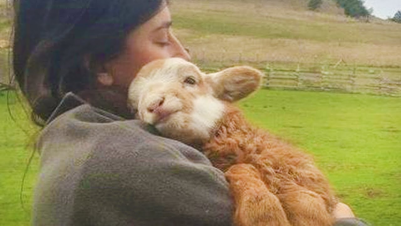 Pets’ joyful greetings show the true meaning of friendship