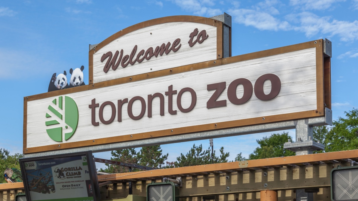<p>Toronto Zoo is both huge and crowded. It’s a touristy site that always has plenty of people. And with the enormous size of this zoo, you’ll be walking all day. Reviews of this zoo are 19.88% negative.</p>