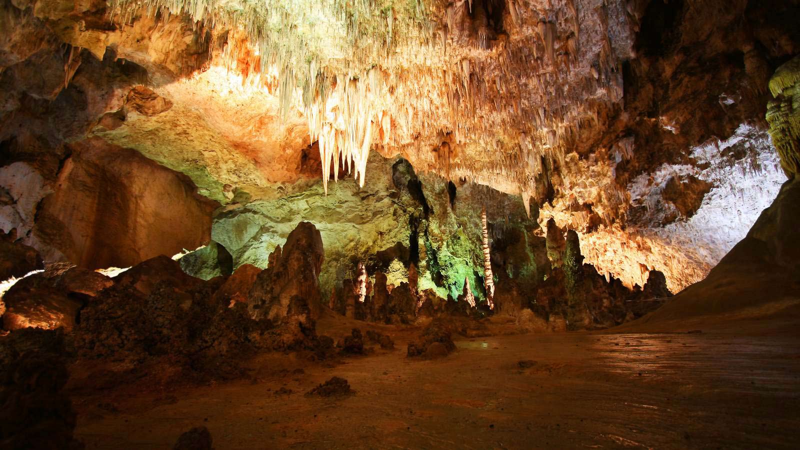 <p>Carlsbad Cavern National Park covers a total area of 46,000 acres and has 117 known caves in the park. The Big Room, as they call it in Carlsbad is an 8.2-acre cave. There are 17 species of bats you can see here.</p>
