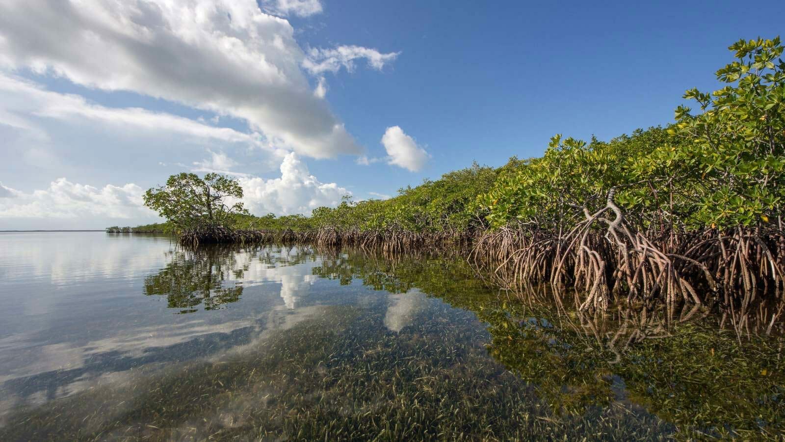 <p>Biscayne National Park is one of the least crowded sites managed by the National Park Service. It covers a total of 172,000 acres, and 95% of the park is underwater.</p>