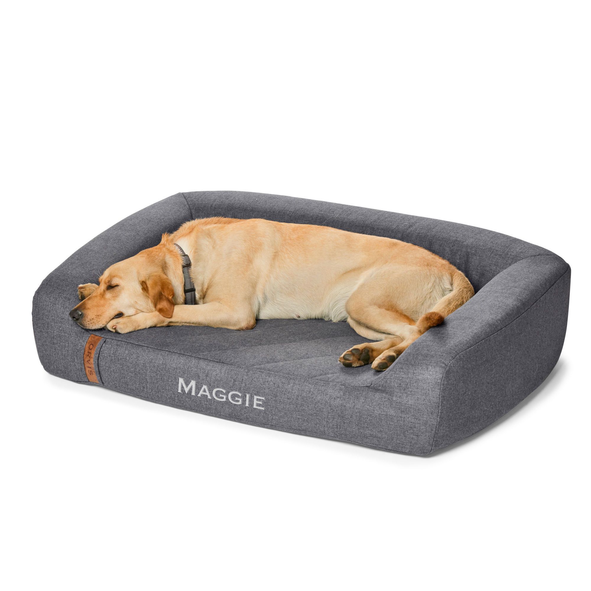 The 14 Best Dog Beds for Your Good Boy or Girl