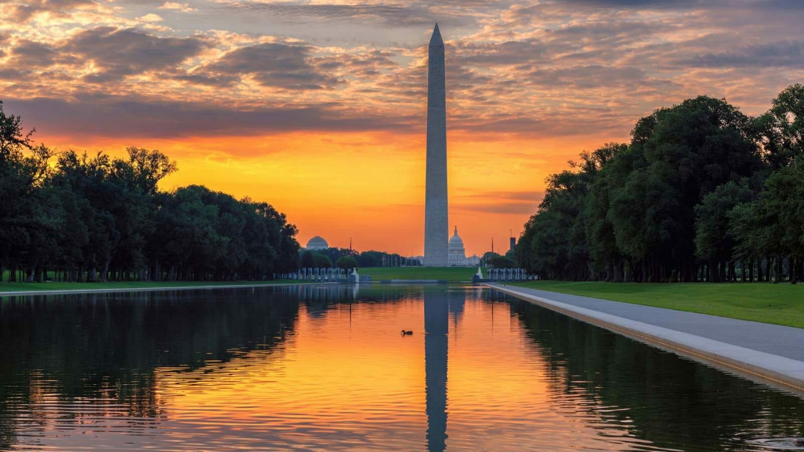 <p>The National Mall is a large park in the center of Washington D.C. that is home to many famous monuments and museums, including the Lincoln Memorial and the Smithsonian Institution.</p>