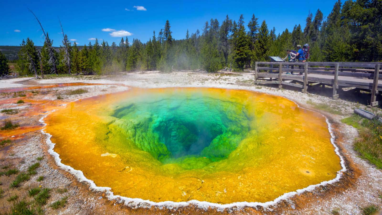 <p>Yellowstone National Park is one of the grandest national parks in the United States. It’s a must-see for anyone visiting the area and is known for its geysers and buffalo.</p>