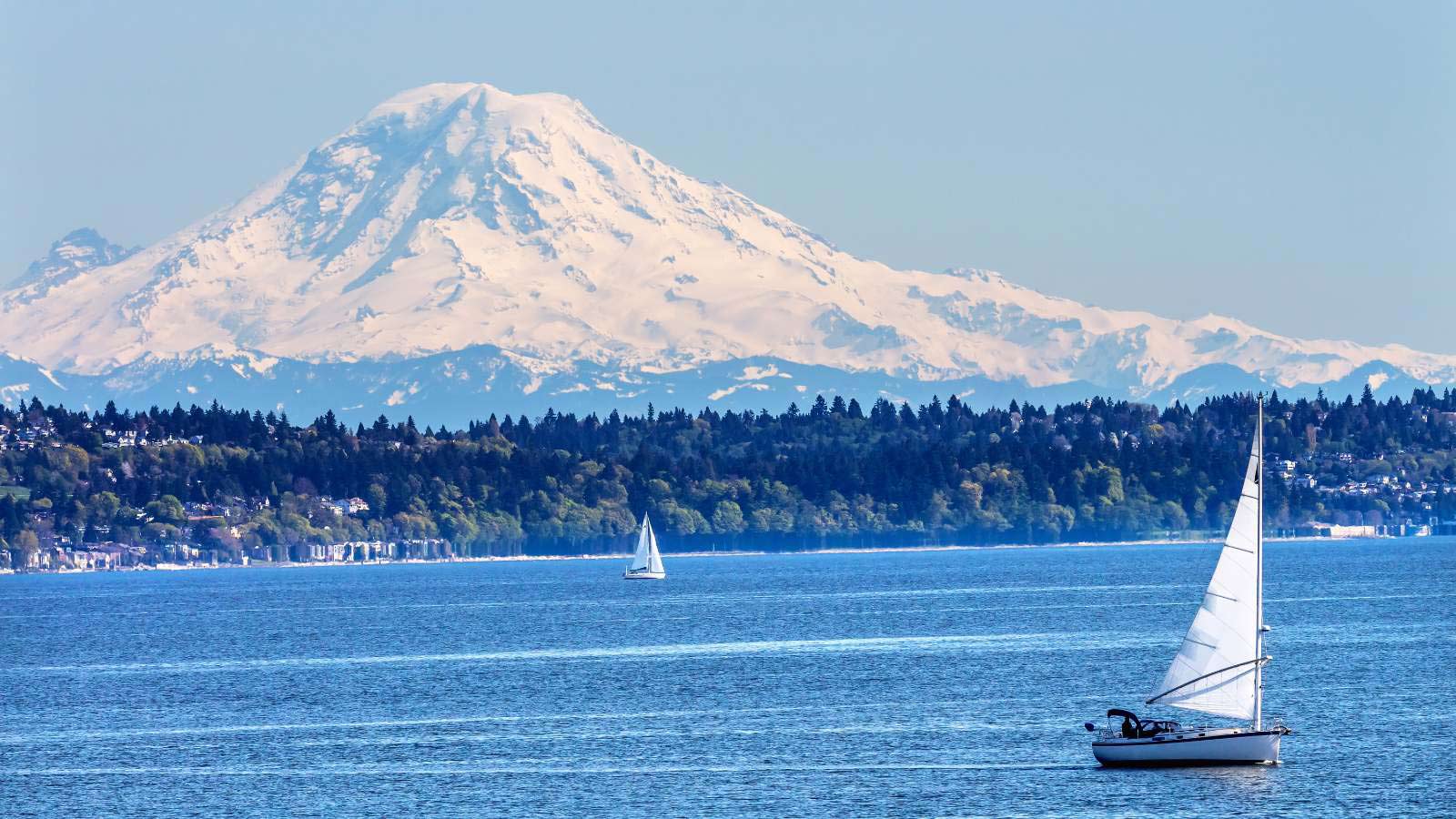 <p>The Puget Sound is a beautiful and diverse area, not just limited to Orca Island or Seattle. This area is mostly cold and rainy, but it’s also home to many different types of marine life and is a popular spot for boating and fishing.</p>