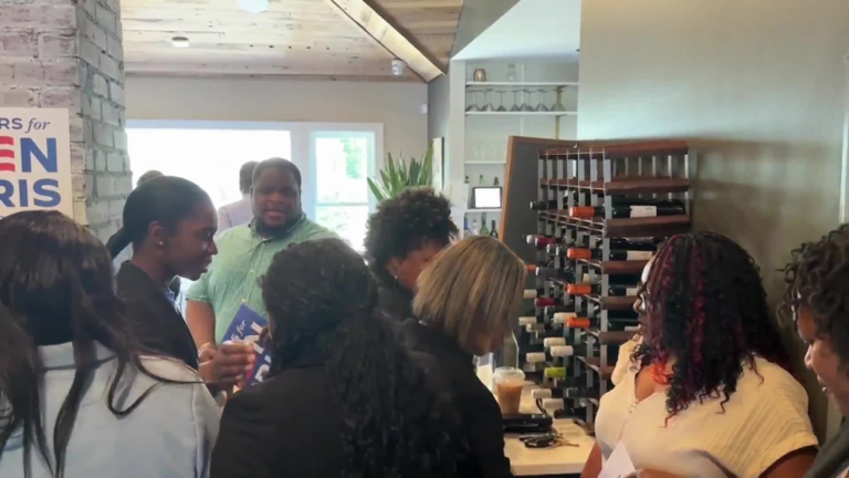 Black Voters for NC tours Greenville businesses