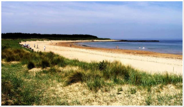 Edinburgh beaches: The 8 picturesque beaches near Edinburgh awarded Scotland’s Beach Award for 2024