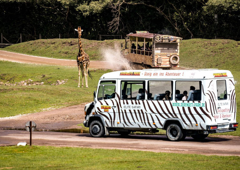 Serengeti-Park: Große Aufregung in Hodenhagen! Besucher werden es bemerken
