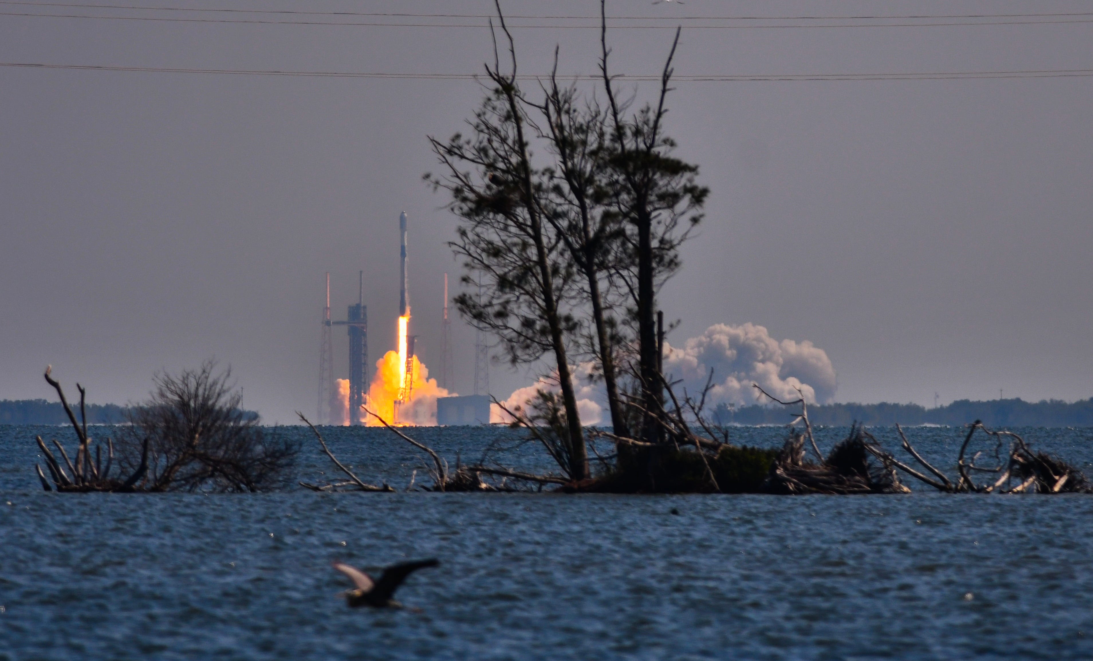 SpaceX Launch: Live Updates From Starlink Falcon 9 Launch At Cape ...