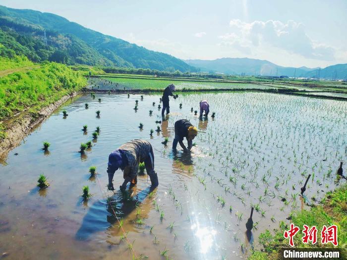 吉林：低温雨多入夏难