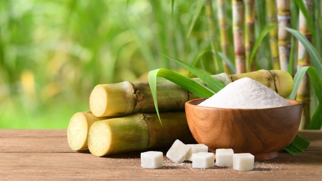 <p>Sugar originates from the Arabic word sukkar. Arab traders played a crucial role in the spread of sugarcane cultivation and the knowledge of sugar production to Europe.</p>