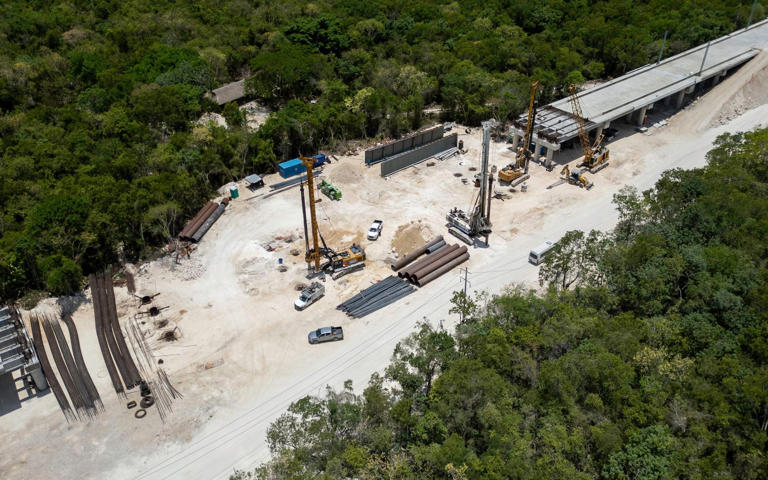 Construction of a railway through Mexico's Yucatan Peninsula is decimating the ancient ecosystem
