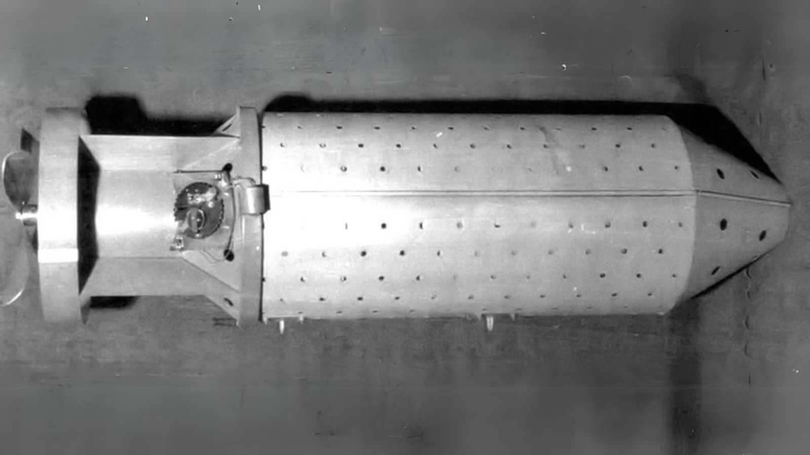 <p>Each bat bomb would contain over 1,000 compartments containing hibernating bats. The bats would have incendiary devices attached to them. The plan was to drop the bombs on Japanese targets where the bats would roost in wooden and paper structures. Then, the devices would go off, burning buildings that bombers may not reach.</p>