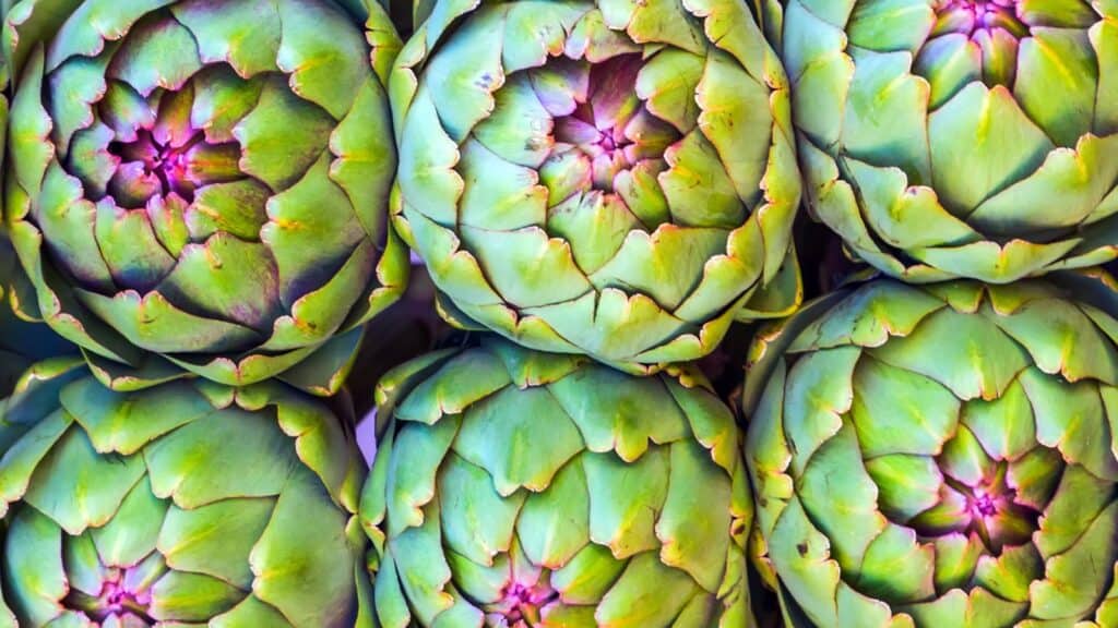 <p>Artichoke is derived from the Arabic word al-khurshūf. This vegetable was introduced to Europe by Arab traders and has since become a popular ingredient in various cuisines.</p>