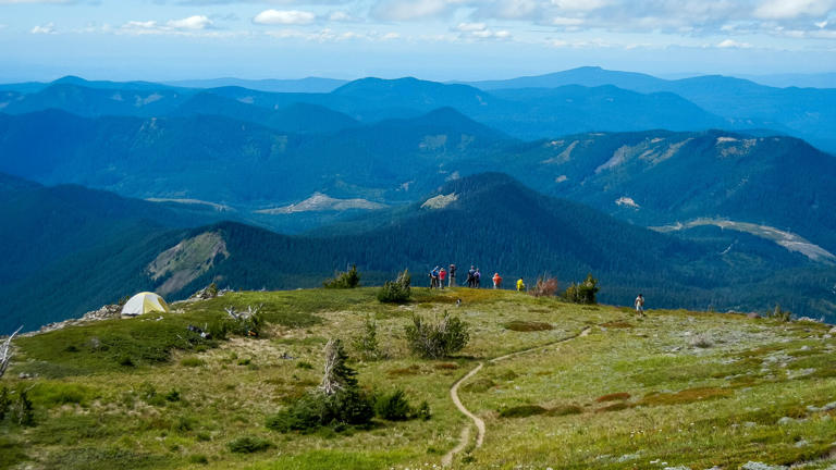 Oregon: Mt. Hood National Forest