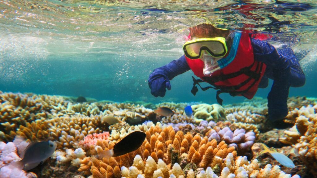 <p>The Great Barrier Reef, the world’s largest coral reef system, is a natural wonder and a popular destination for divers and snorkelers. However, climate change and pollution have caused <a href="https://www.bbc.com/news/world-australia-54533971">significant damage</a> to the reef.</p><p>Coral bleaching, caused by rising water temperatures, has killed large swathes of coral. Pollution from agricultural runoff and coastal development has also contributed to the reef’s decline.</p>