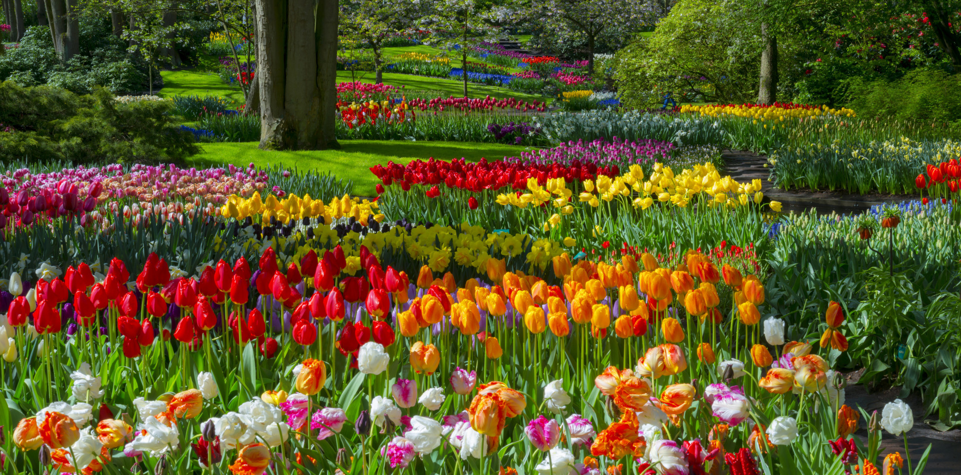 zo-cre-er-je-jouw-droomtuin