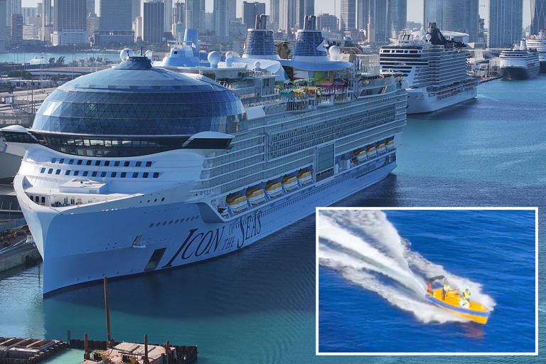 Passenger who jumped from world’s largest cruise ship fell 90 feet to his death: staffer