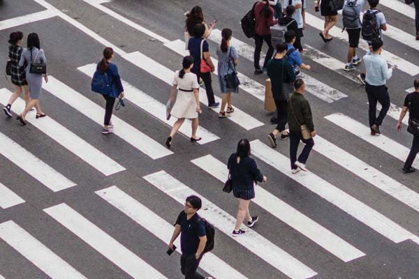 兰永临高速公路第一高桥全面开工