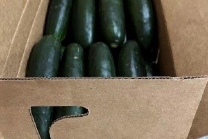 FDA Issues Recall Notice For Cucumbers Over Salmonella Contamination Fears