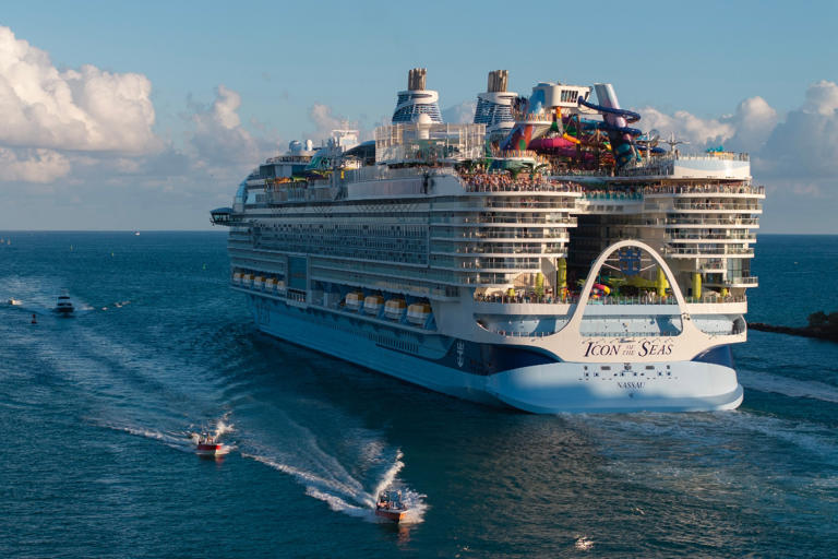 Man Who Jumped From World's Largest Cruise Ship Fell 90 Feet to His Death, Security Says