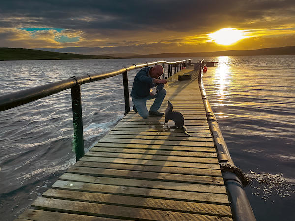 “Billy and Molly: An Otter Love Story” is a heartwarming documentary set in the remote Shetland Islands. The film follow