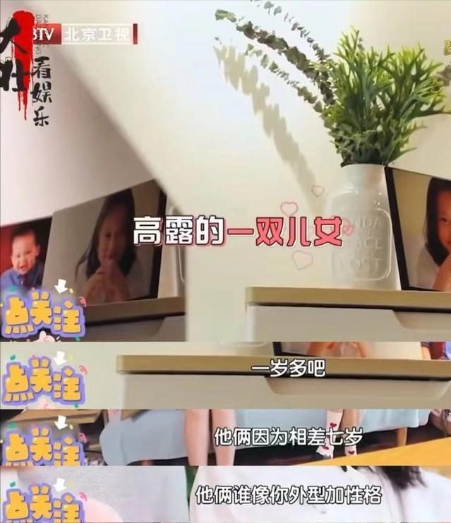 高露带15岁女儿入圈？曾被误传拒绝苏有朋，其实早已低调隐婚18年