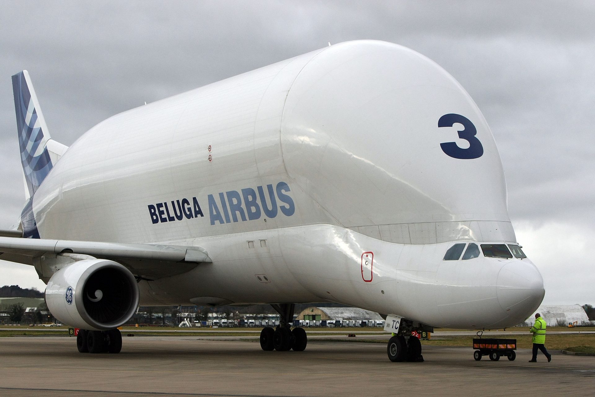 Check out the world's cutest airplane, the Airbus Beluga