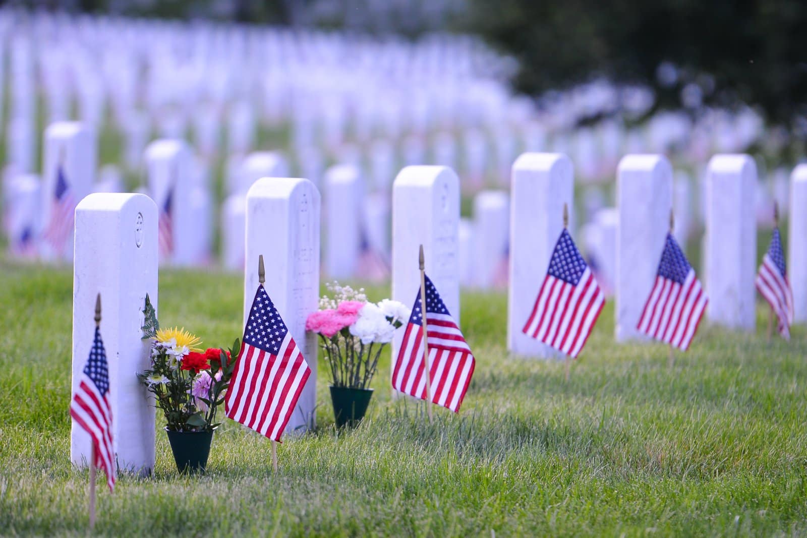 <p class="wp-caption-text">Image Credit: Shutterstock / Orhan Cam</p>  <p>Established during the Civil War on the grounds of Robert E. Lee’s home, Arlington houses the graves of American veterans from all the nation’s wars.</p>