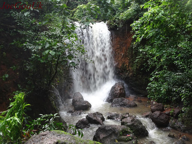 goa waterfalls Kesarval Waterfalls, Goa