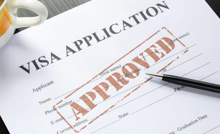                   Visa application                 ©(c) provided by Pulse Nigeria