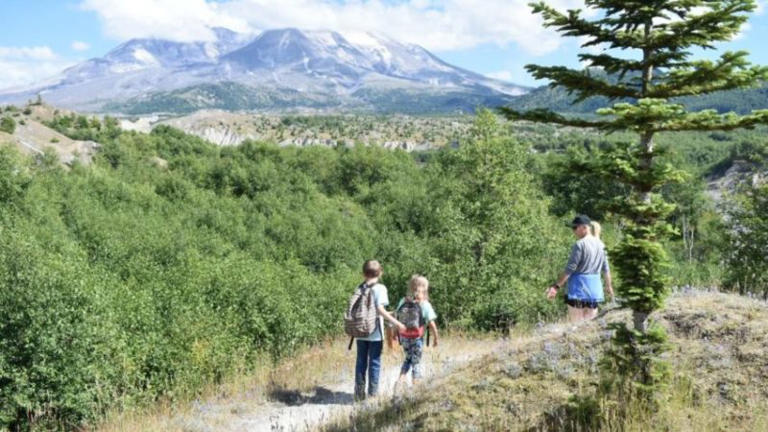 Visiting Mount St. Helens With Kids