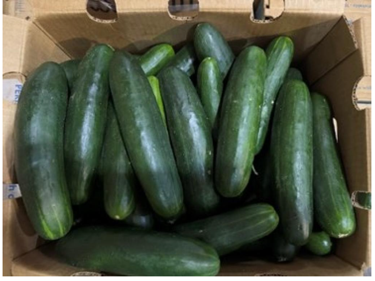 Whole Cucumbers Recalled Due To Possible Salmonella Risk