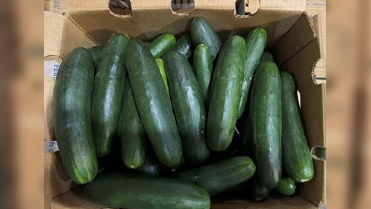 Cucumber Salmonella Recall: Veggies Shipped To MD & VA Recalled Over ...