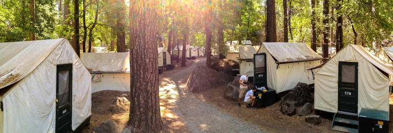 View of Curry Village's canvas tent cabins set among the trees. Basic glamping in Yosemite Valley, CA.