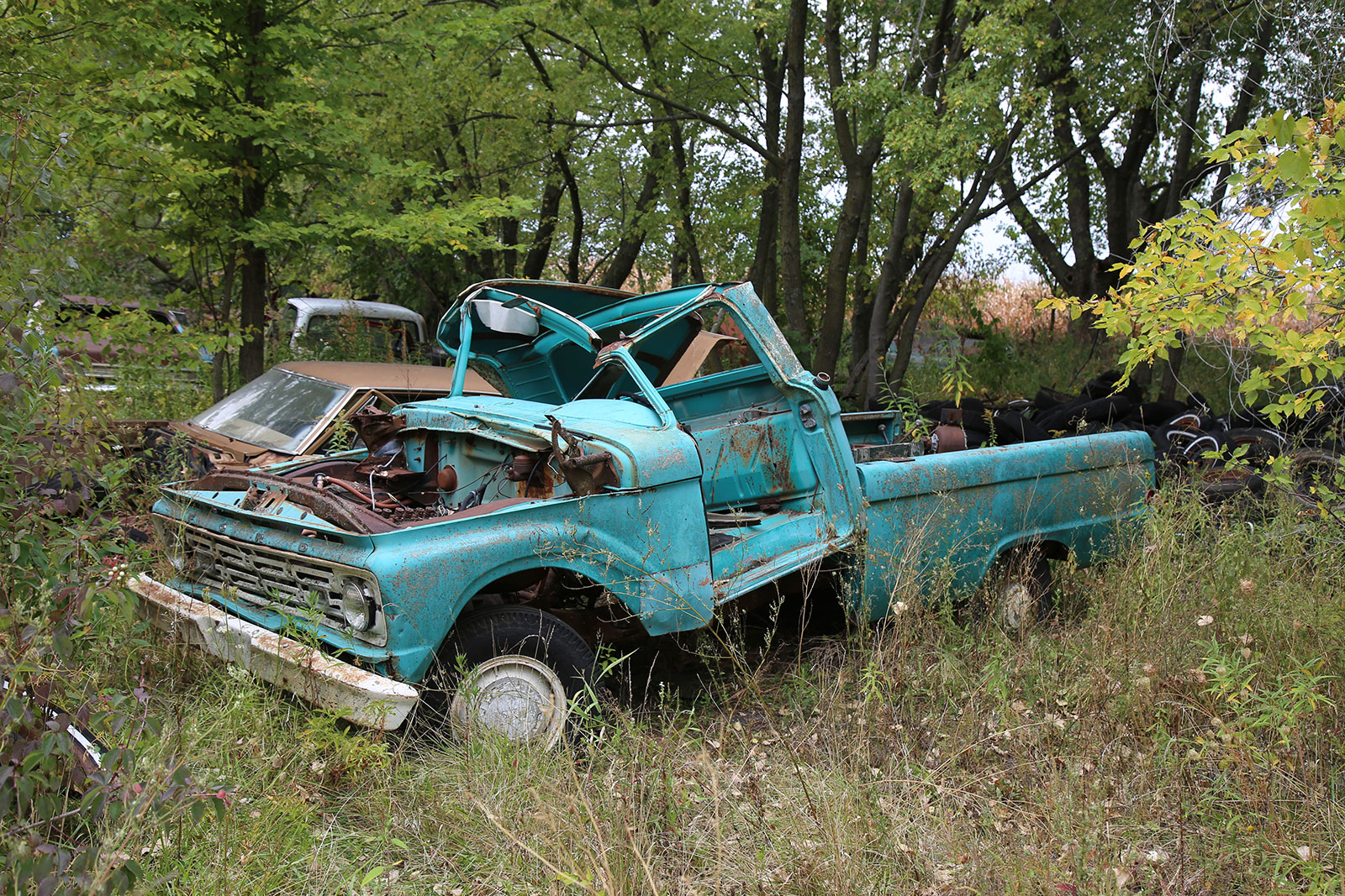 Junkyard Discoveries from Ron’s Auto Salvage in Allison, Iowa