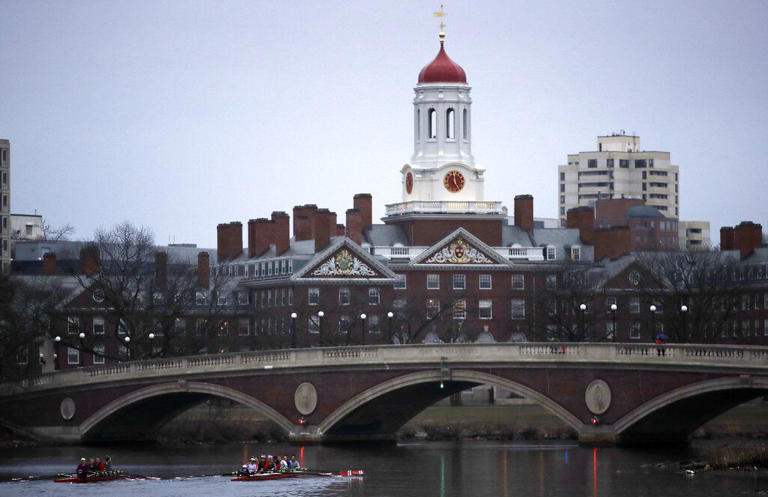 Harvard eliminates DEI requirement for some tenure-track professors