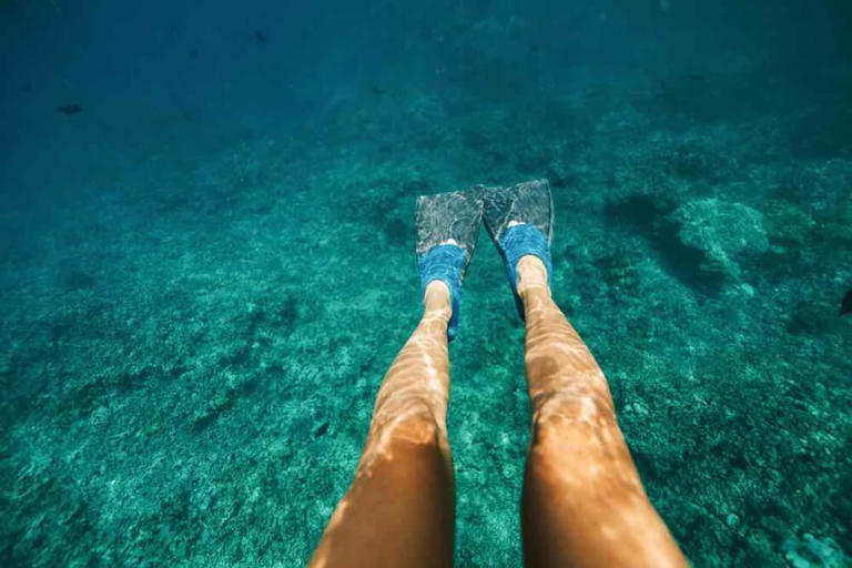 Hoping to do some snorkeling on Oahu? Keep reading for the 7 best places for Oahu snorkeling you’ll want to add to your Oahu itinerary! This best snorkeling on Oahu post was written by Hawaii travel expert Marcie Cheung and contains affiliate links which means if you purchase something from one of my affiliate links, ... Read more